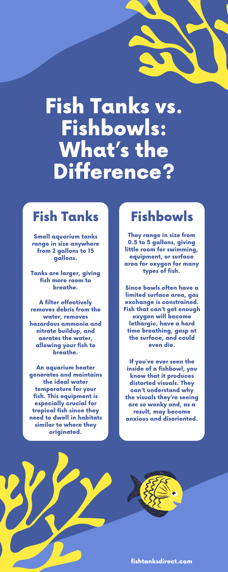 Fish Tanks vs. Fishbowls: What’s the Difference?