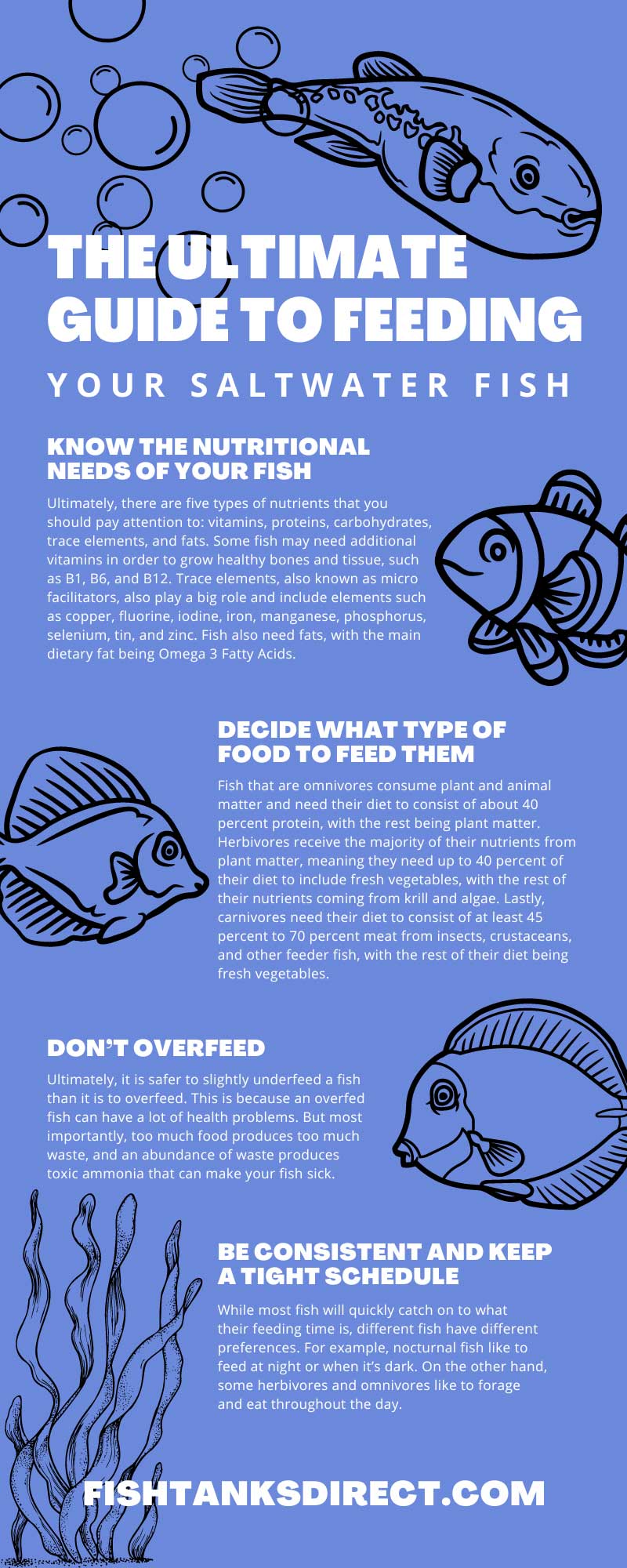 The Ultimate Guide to Feeding Your Saltwater Fish